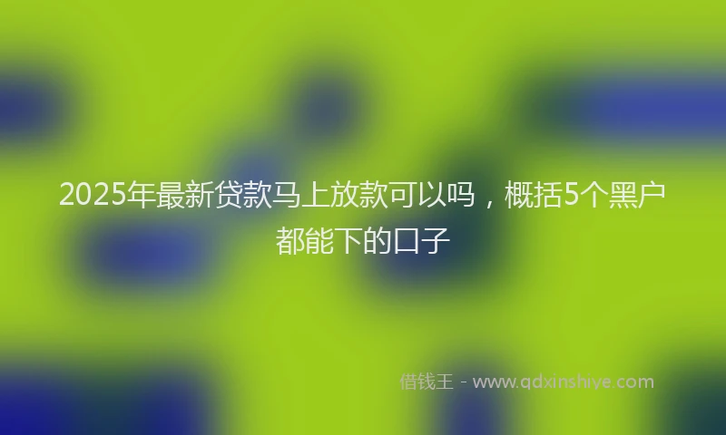 2025年最新贷款马上放款可以吗，概括5个黑户都能下的口子