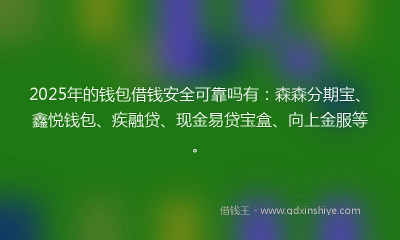 2025年的钱包借钱安全可靠吗有：森森分期宝、鑫悦钱包、疾融贷、现金易贷宝盒、向上金服等。