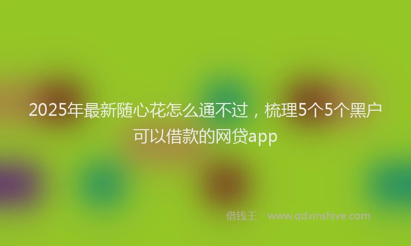 2025年最新随心花怎么通不过，梳理5个5个黑户可以借款的网贷app