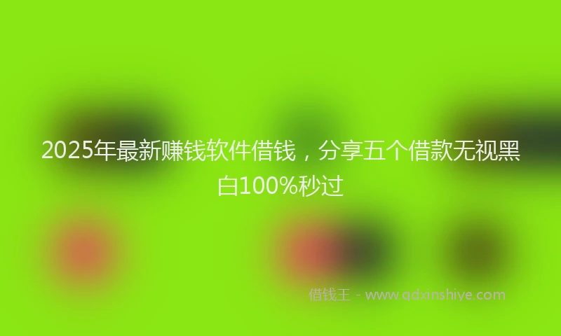 2025年最新赚钱软件借钱，分享五个借款无视黑白100%秒过
