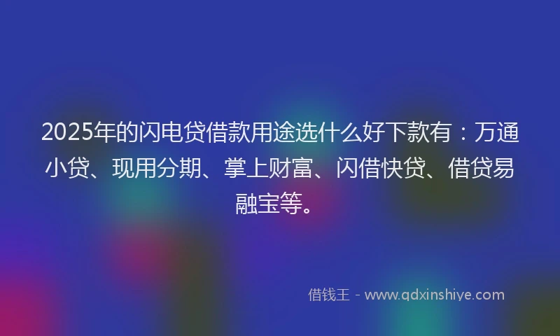 2025年的闪电贷借款用途选什么好下款有：万通小贷、现用分期、掌上财富、闪借快贷、借贷易融宝等。