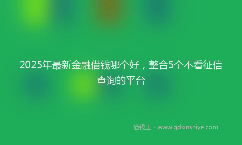 2025年最新金融借钱哪个好，整合5个不看征信查询的平台