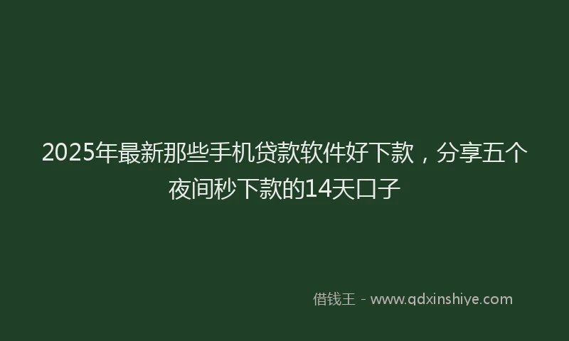 2025年最新那些手机贷款软件好下款，分享五个夜间秒下款的14天口子
