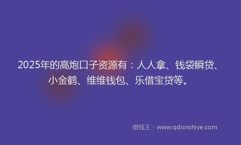 2025年的高炮口子资源有：人人拿、钱袋瞬贷、小金鹤、维维钱包、乐借宝贷等。