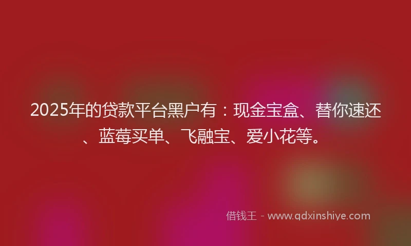 2025年的贷款平台黑户有：现金宝盒、替你速还、蓝莓买单、飞融宝、爱小花等。