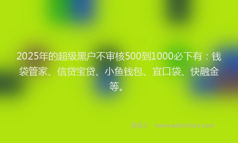 2025年的超级黑户不审核500到1000必下有：钱袋管家、信贷宝贷、小鱼钱包、宜口袋、快融金等。