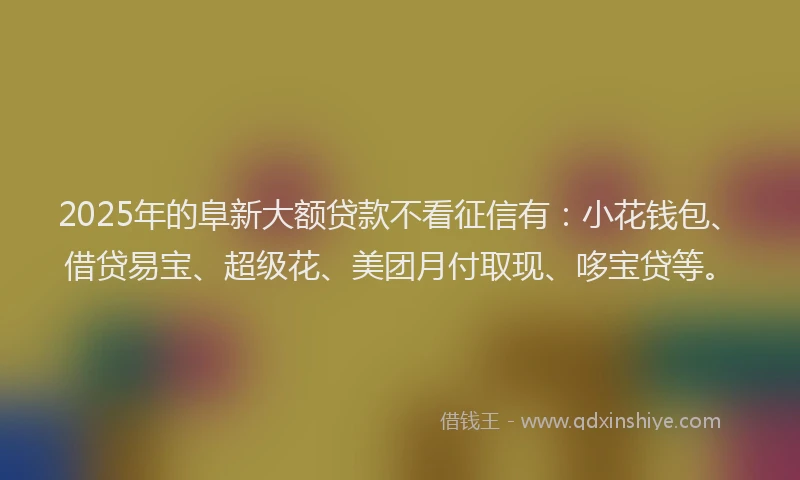 2025年的阜新大额贷款不看征信有：小花钱包、借贷易宝、超级花、美团月付取现、哆宝贷等。