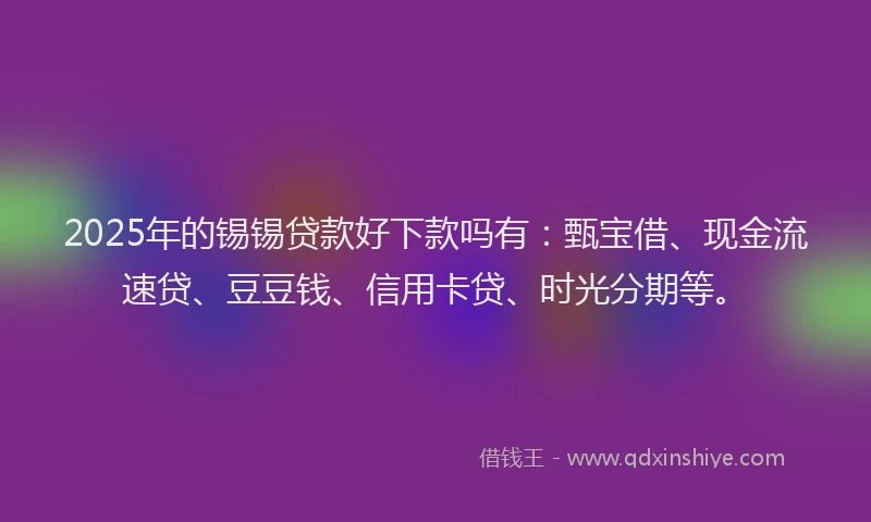 2025年的锡锡贷款好下款吗有：甄宝借、现金流速贷、豆豆钱、信用卡贷、时光分期等。