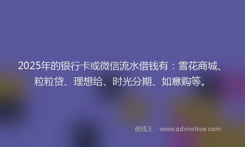 2025年的银行卡或微信流水借钱有：雪花商城、粒粒贷、理想给、时光分期、如意购等。