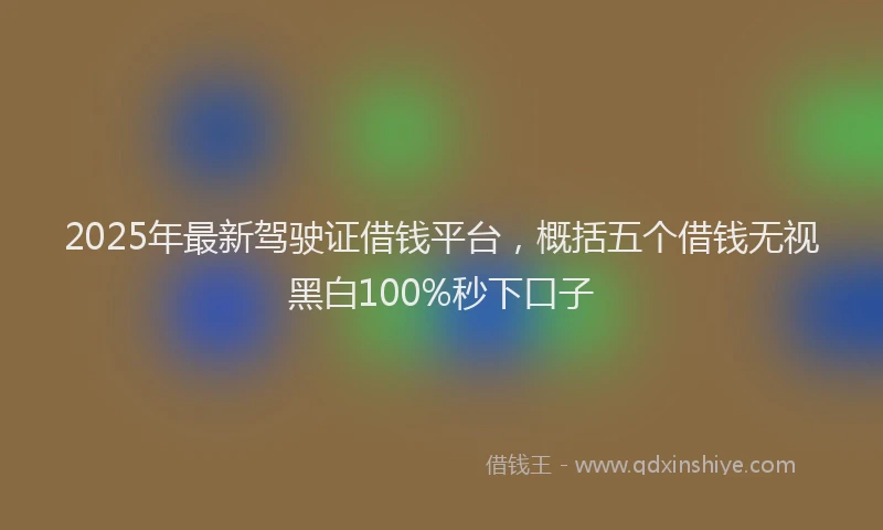 2025年最新驾驶证借钱平台，概括五个借钱无视黑白100%秒下口子