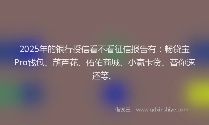 2025年的银行授信看不看征信报告有：畅贷宝Pro钱包、葫芦花、佑佑商城、小赢卡贷、替你速还等。
