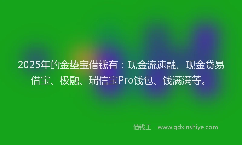 2025年的金垫宝借钱有：现金流速融、现金贷易借宝、极融、瑞信宝Pro钱包、钱满满等。