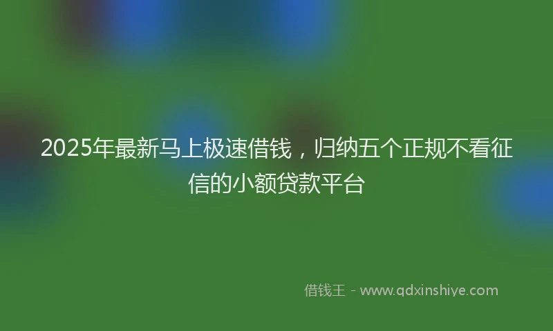 2025年最新马上极速借钱，归纳五个正规不看征信的小额贷款平台