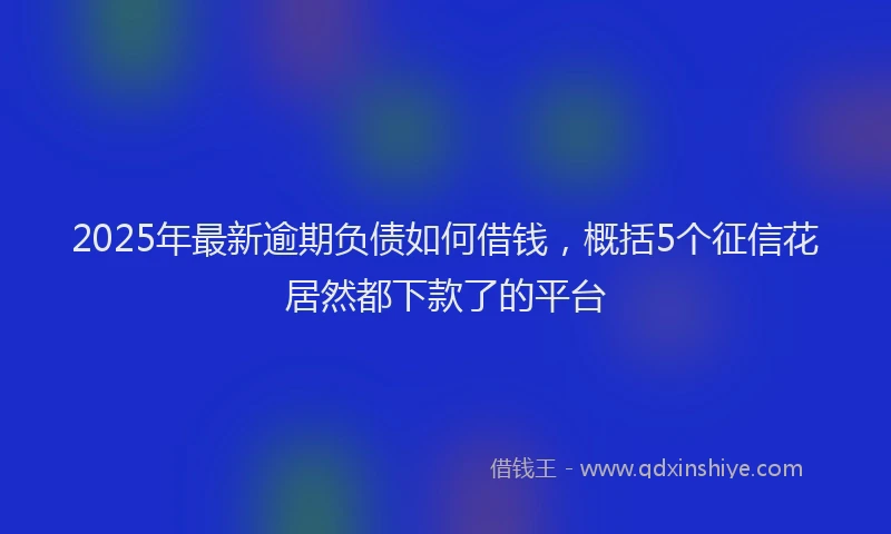 2025年最新逾期负债如何借钱，概括5个征信花居然都下款了的平台