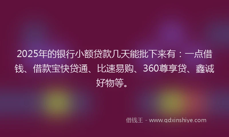 2025年的银行小额贷款几天能批下来有：一点借钱、借款宝快贷通、比速易购、360尊享贷、鑫诚好物等。