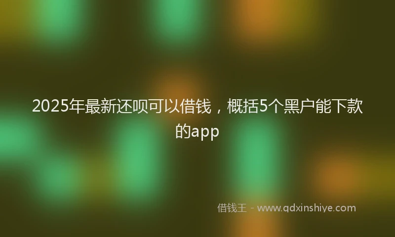 2025年最新还呗可以借钱，概括5个黑户能下款的app