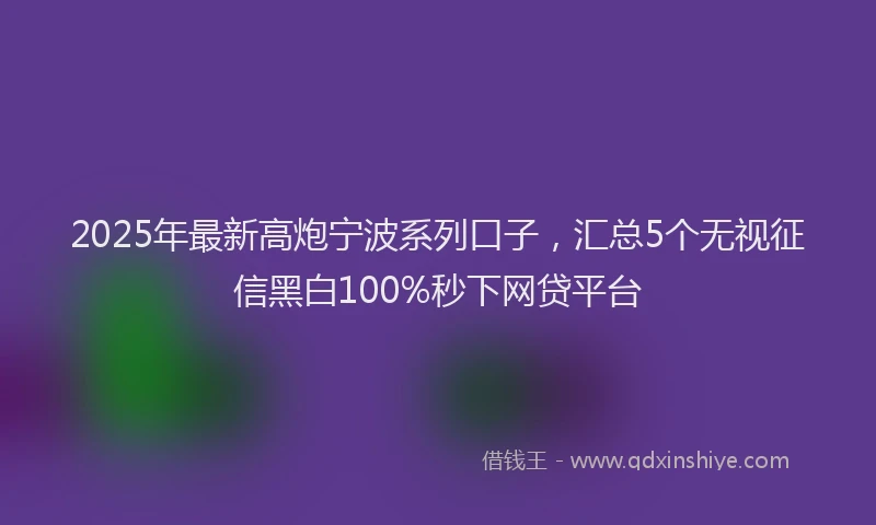 2025年最新高炮宁波系列口子，汇总5个无视征信黑白100%秒下网贷平台