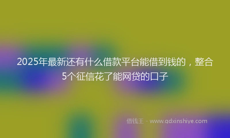 2025年最新还有什么借款平台能借到钱的，整合5个征信花了能网贷的口子