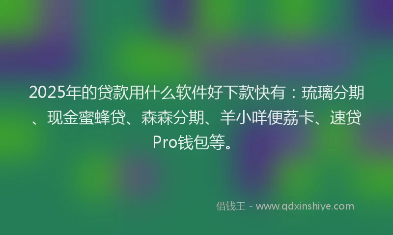 2025年的贷款用什么软件好下款快有：琉璃分期、现金蜜蜂贷、森森分期、羊小咩便荔卡、速贷Pro钱包等。