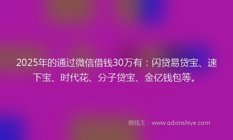 2025年的通过微信借钱30万有：闪贷易贷宝、速下宝、时代花、分子贷宝、金亿钱包等。