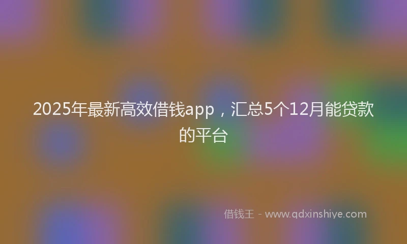 2025年最新高效借钱app，汇总5个12月能贷款的平台