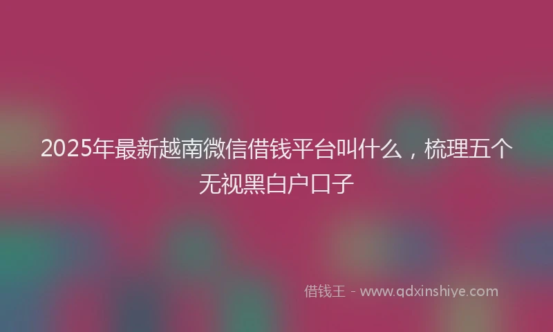 2025年最新越南微信借钱平台叫什么，梳理五个无视黑白户口子
