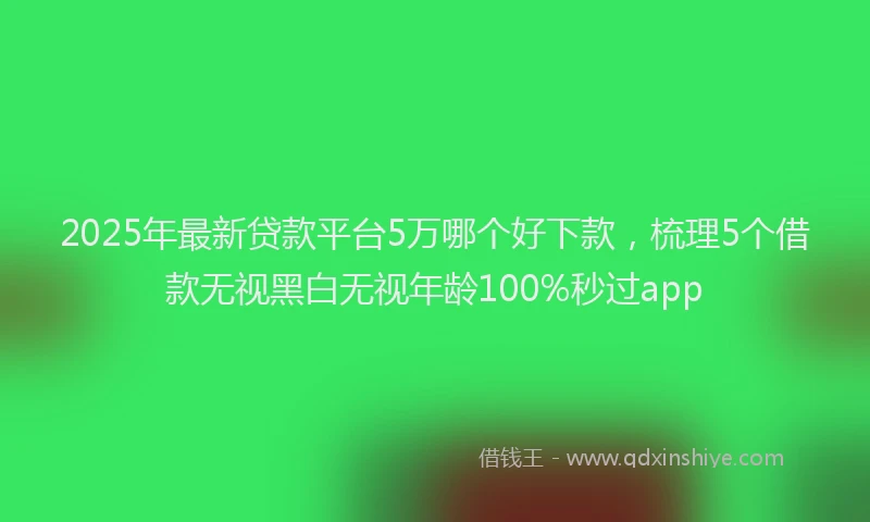 2025年最新贷款平台5万哪个好下款，梳理5个借款无视黑白无视年龄100%秒过app