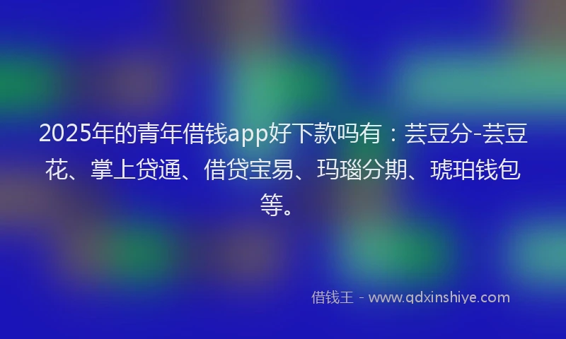 2025年的青年借钱app好下款吗有:芸豆分-芸豆花、掌上贷通、借贷宝易、玛瑙分期、琥珀钱包等。