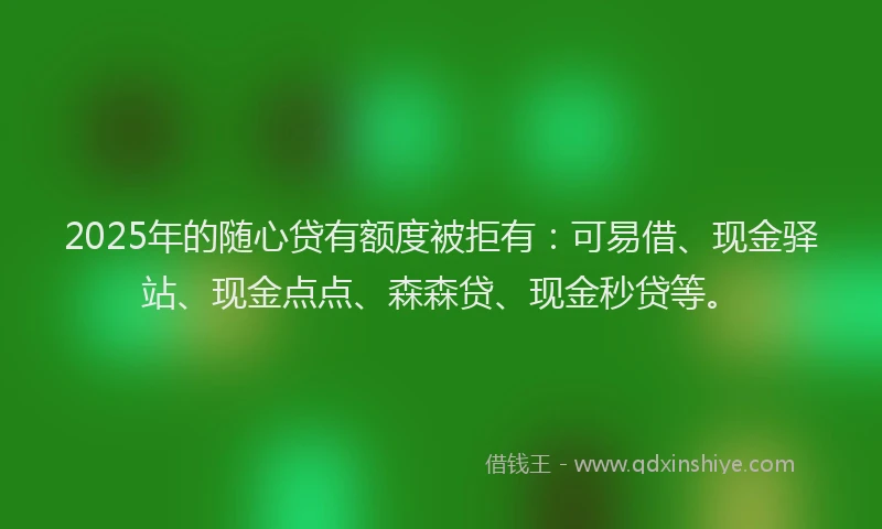 2025年的随心贷有额度被拒有:可易借、现金驿站、现金点点、森森贷、现金秒贷等。