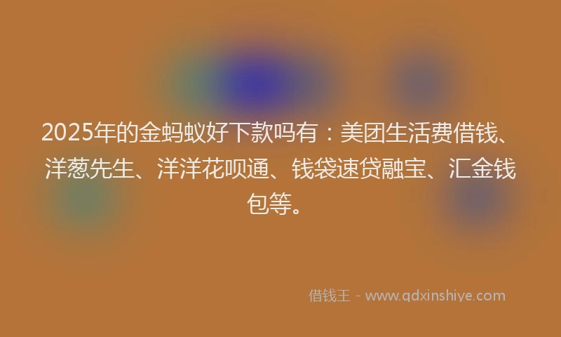 2025年的金蚂蚁好下款吗有：美团生活费借钱、洋葱先生、洋洋花呗通、钱袋速贷融宝、汇金钱包等。
