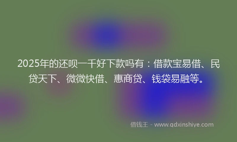 2025年的还呗一千好下款吗有：借款宝易借、民贷天下、微微快借、惠商贷、钱袋易融等。