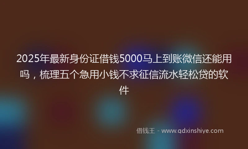 2025年最新身份证借钱5000马上到账微信还能用吗，梳理五个急用小钱不求征信流水轻松贷的软件