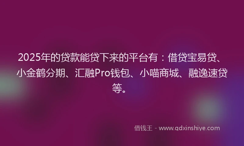 2025年的贷款能贷下来的平台有：借贷宝易贷、小金鹤分期、汇融Pro钱包、小喵商城、融逸速贷等。