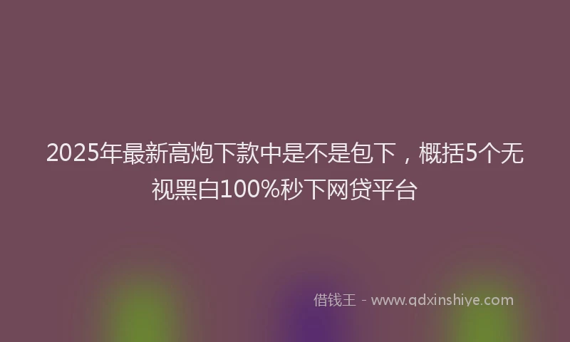 2025年最新高炮下款中是不是包下，概括5个无视黑白100%秒下网贷平台