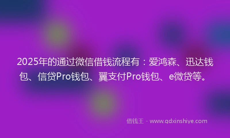 2025年的通过微信借钱流程有：爱鸿森、迅达钱包、信贷Pro钱包、翼支付Pro钱包、e微贷等。