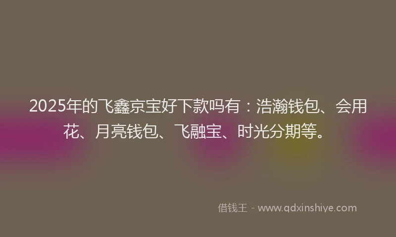 2025年的飞鑫京宝好下款吗有：浩瀚钱包、会用花、月亮钱包、飞融宝、时光分期等。