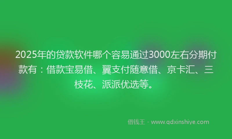 2025年的贷款软件哪个容易通过3000左右分期付款有：借款宝易借、翼支付随意借、京卡汇、三枝花、派派优选等。