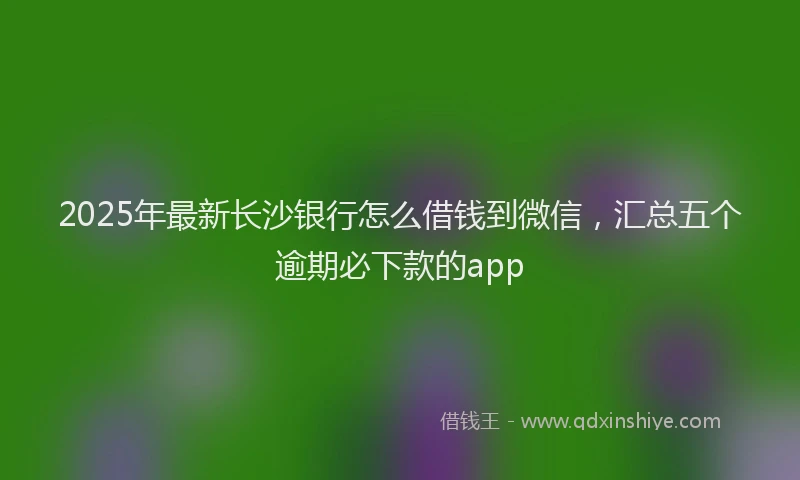 2025年最新长沙银行怎么借钱到微信，汇总五个逾期必下款的app