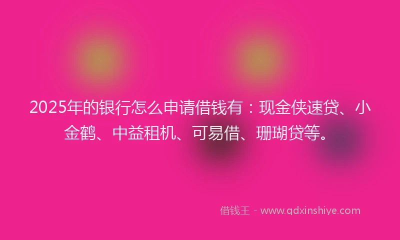 2025年的银行怎么申请借钱有：现金侠速贷、小金鹤、中益租机、可易借、珊瑚贷等。