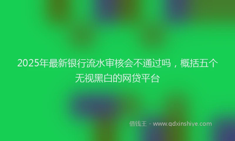 2025年最新银行流水审核会不通过吗，概括五个无视黑白的网贷平台