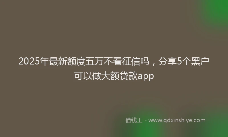 2025年最新额度五万不看征信吗，分享5个黑户可以做大额贷款app