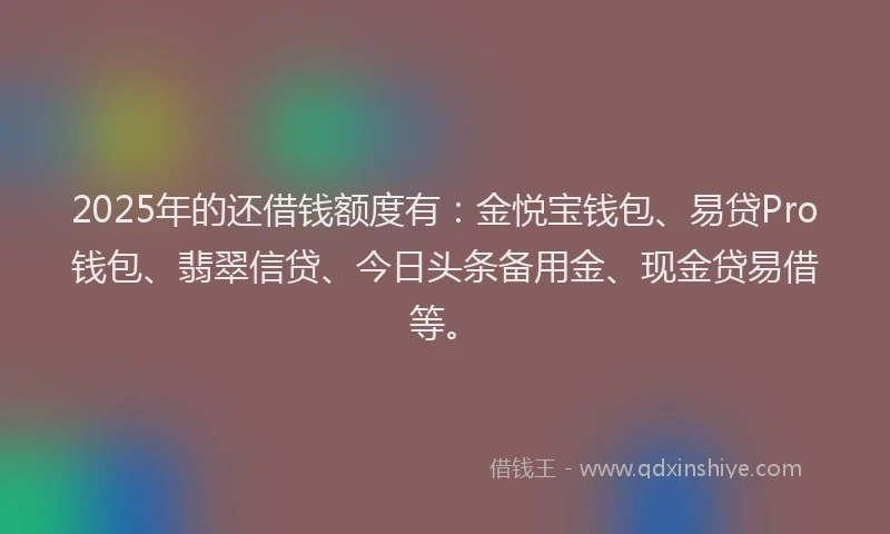 2025年的还借钱额度有：金悦宝钱包、易贷Pro钱包、翡翠信贷、今日头条备用金、现金贷易借等。