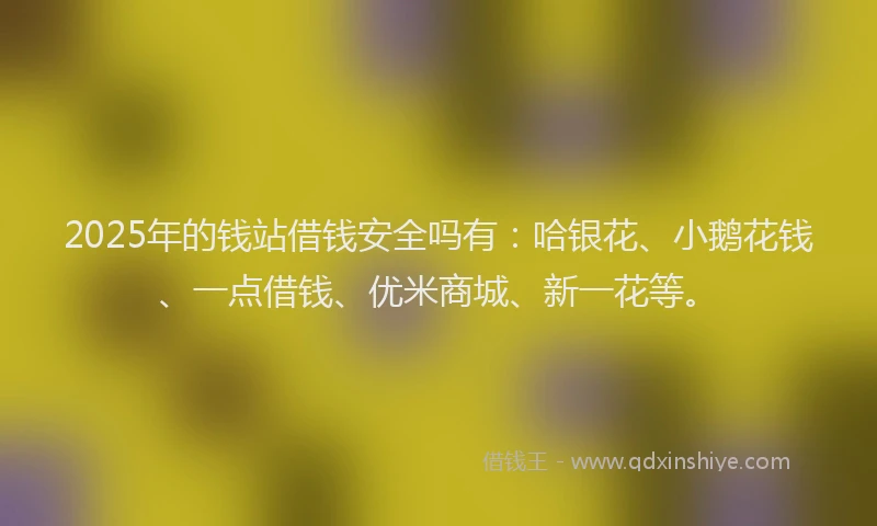 2025年的钱站借钱安全吗有：哈银花、小鹅花钱、一点借钱、优米商城、新一花等。