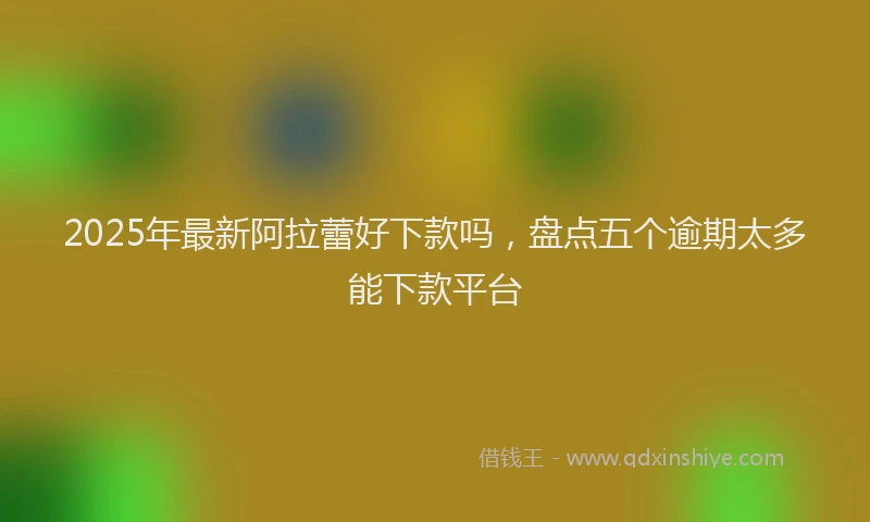 2025年最新阿拉蕾好下款吗，盘点五个逾期太多能下款平台