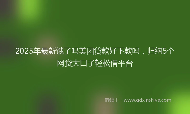 2025年最新饿了吗美团贷款好下款吗，归纳5个网贷大口子轻松借平台
