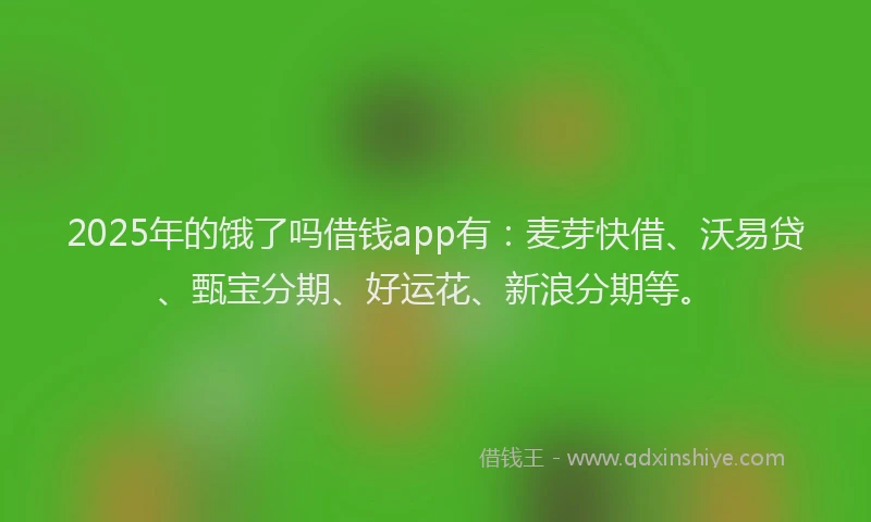 2025年的饿了吗借钱app有：麦芽快借、沃易贷、甄宝分期、好运花、新浪分期等。