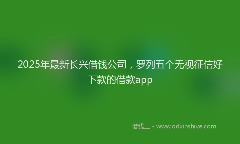 2025年最新长兴借钱公司，罗列五个无视征信好下款的借款app
