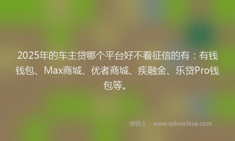 2025年的车主贷哪个平台好不看征信的有：有钱钱包、Max商城、优者商城、疾融金、乐贷Pro钱包等。