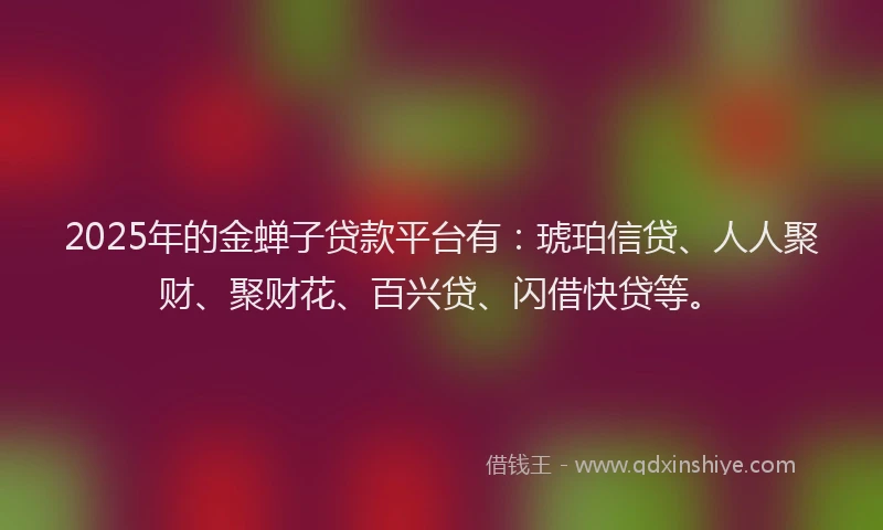 2025年的金蝉子贷款平台有：琥珀信贷、人人聚财、聚财花、百兴贷、闪借快贷等。