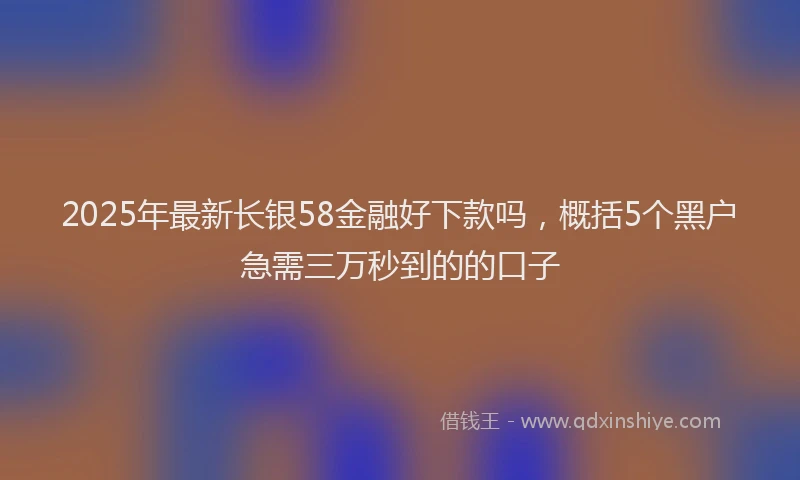 2025年最新长银58金融好下款吗，概括5个黑户急需三万秒到的的口子
